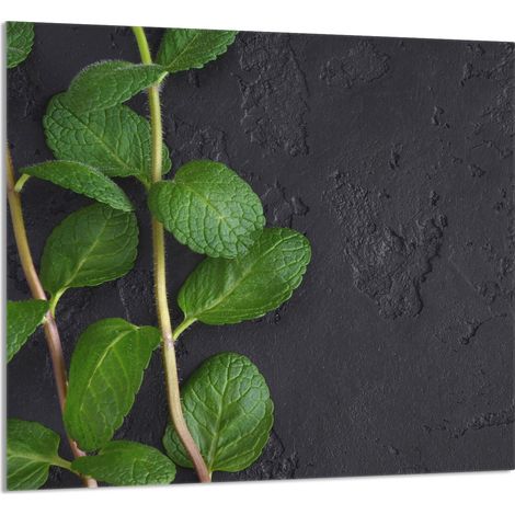 PANNELLO IN VETRO PER CUCINA 65x60 Menta (1/5)