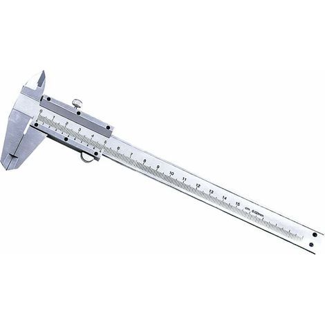 Professional caliper with stainless steel, 150 mm (1/5)