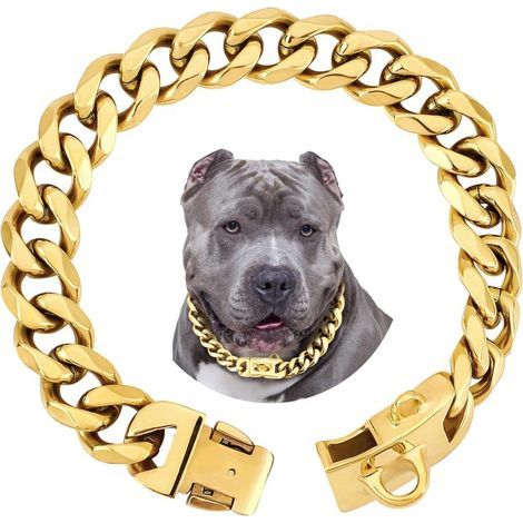 Hundehalsband mit 19 mm Goldkette, kubanischen Gliedern und sicherer Schnalle (18 Zoll, Gold) (1/5)