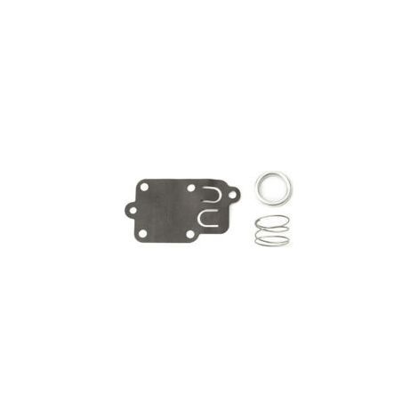Membrane carburateur Briggs et Stratton (1/4)