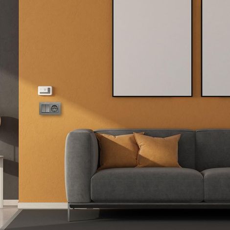 Base Schuko avec double interrupteur, finition graphite, pour les installations électriques et le contrôle d'éclairage. (1/5)