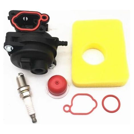 Carburateur pour Briggs Stratton pièces de moteur de tondeuse à gazon 799583 593261 595656 591979 300E 450E 500E (1/5)