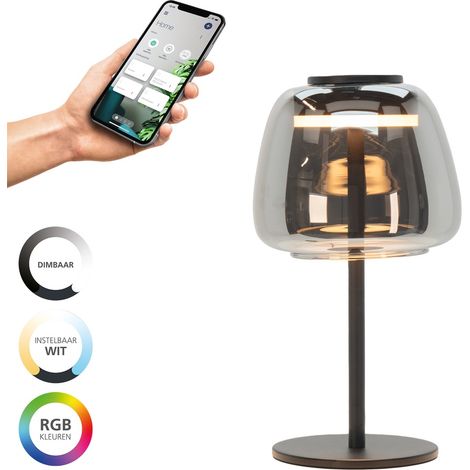 Lampe de table Alfero-Z Smoke Glass - Contrôle par application - 901195