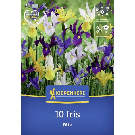 Kiepenkerl Herbstblumenzwiebel Holländische Schwertlilien Mischung 10 Stück (1/2)
