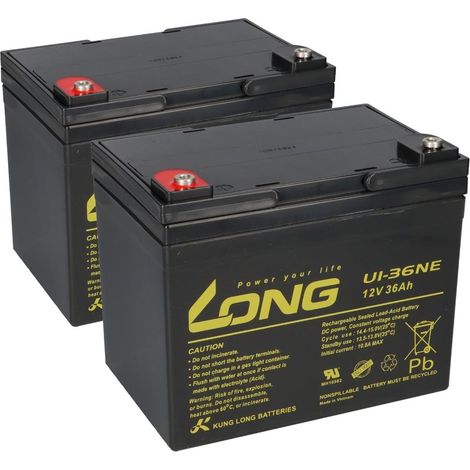 Ersatzakku für Invacare Butler 2x 12V (24V) 36Ah Zyklenfest AGM (1/5)