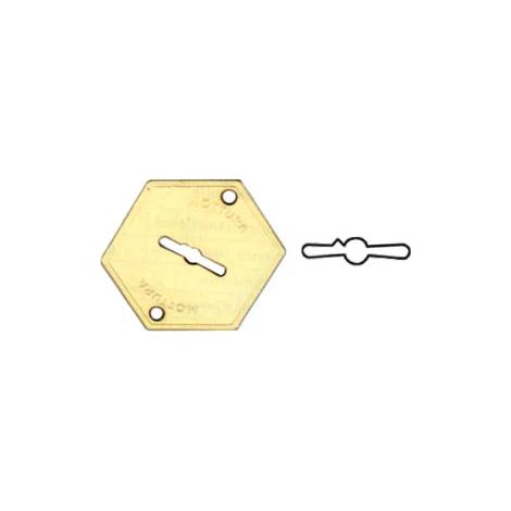 MOSTRINA ESTERNA IN OTTONE 95147  mm.52x64 (95147004C1)    MOTTURA