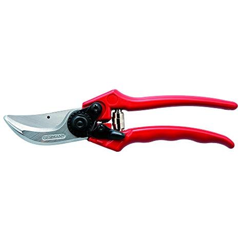Berger-Professionale Potatore 215 Millimetri Maestro Dimensioni 1000 (1/4)
