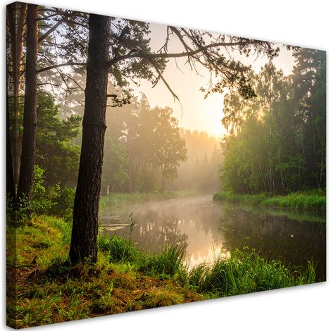 Wandbild See im Wald Nebel am Morgen 30x20 (1/5)