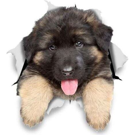 Autocollants Chiens Muraux 3D - Paquet de 2 - Stickers Berger Allemand Chiot Pour Mur - Frigo - Toilette - Salle - Voiture - Réfrigérateur11x12CM (1/4)