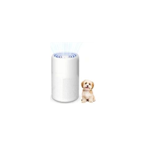 Purificateur d'Air pour Allergiques avec Filtre à Charbon Actif - Portable USB - Filtre HEPA 5W - Silencieux - Pour Poils d'Animaux & Odeurs - Pour Maison, Voiture, Bureau - Jusqu'à 10m² (1/5)