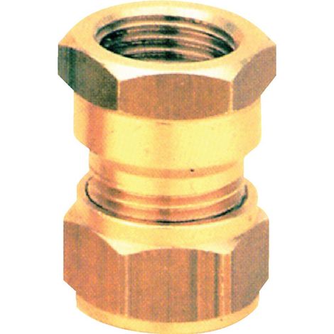 Raccord bicone laiton Fer/Cuivre droit F 20x27-22 (1/3)