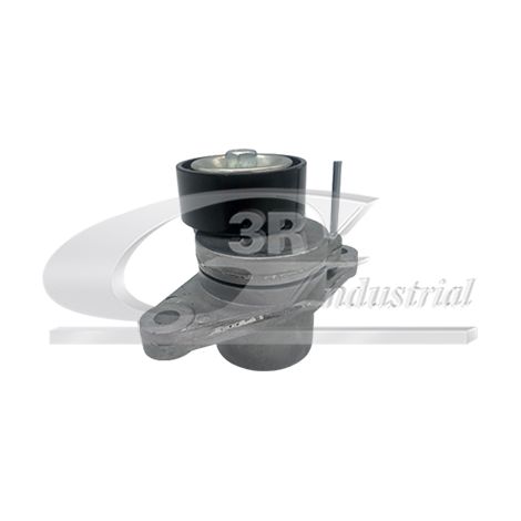 3RG 13661 RODILLO TENSOR DISTRIBUCIÃƒâ€œN
