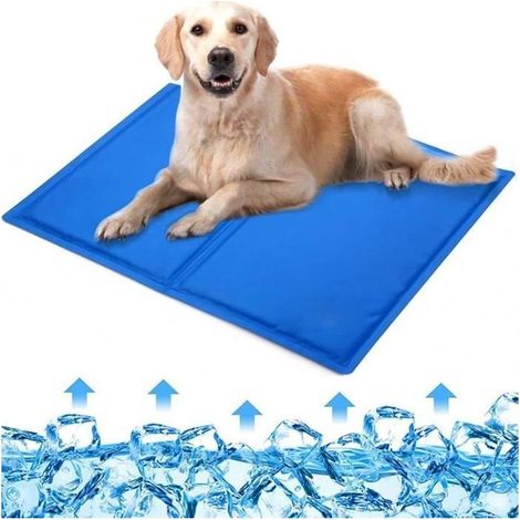 Tapis de Refroidissement - Non spécifié - 50 x 40 cm - Gel Auto-rafraîchissant - Idéal pour Chien et Chat - Bleu