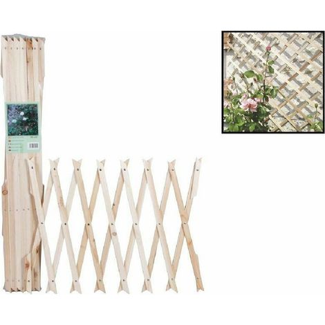 TrAdE Shop Traesio - Traliccio Legno Rete Estensibile Piante Rampicanti Staccionata 100x200 Cm 206429 -