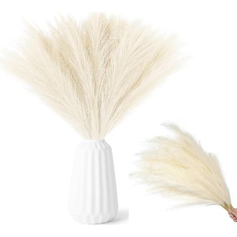 30 pièces Pampas Sechees Decoration 55 Cm Herbe de La Pampa Séchées Herbes de Pampa Artificielles Séchées Décoration Fleur Sechees pour Mariage, Salon, décoration bohème, Maison (1/5)
