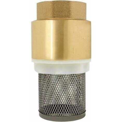 Clapet crepine anti retour 1/2、3/4、1、2 pouce - vanne non retour clapet anti-retour pompe (2 pouce)--INHHUB