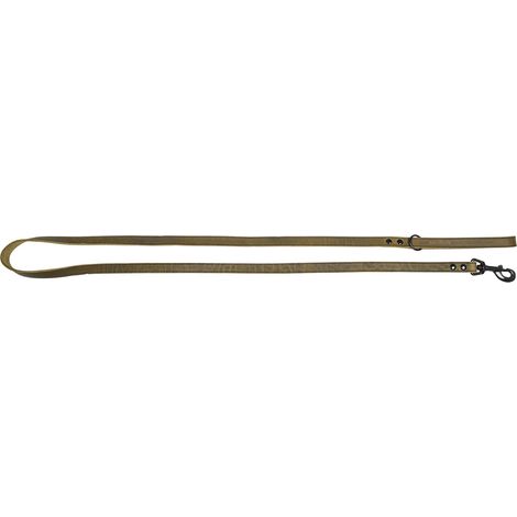 Laisse pour Chien 180 cm x 18 mm Vert