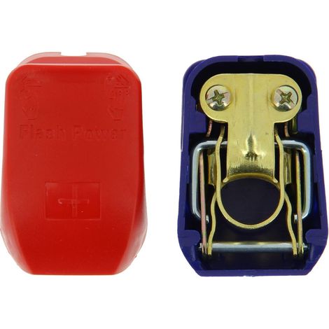 Cartec 2 Cosses Batteries a Serrage Rapide + et - (1/5)