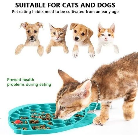 Fressnapf mit Anti-Schlingen-Funktion – Silikon – Für Katzen geeignet – Grün – Zylindrisch – Futternapf (1/4)