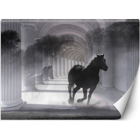 Carta Da Parati, Cavallo Tunnel 3D Colonne Grigio - 200x140 (1/5)