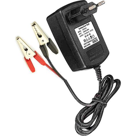 Pastormatic 4131996esp Chargeur batterie 12 volts léger (1/2)