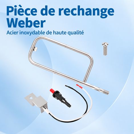 Kit Brûleur 60041 et Allumeur 80462 Acier Inox pour Barbecue Weber Q200 Q2000, 55 × 200 × 2,5 cm, 410 g – Livraison gratuite (1/5)