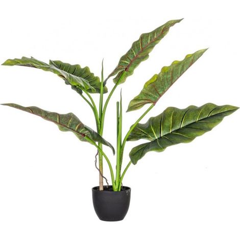 Set 4 Piante con Vaso Plastica Verde da Interno H78 cm - SERENICO (1/4)