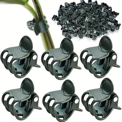 Packung mit 100 Pflanzenclips / Orchideenclips – Ideal zur Unterstützung von Stängeln, Ranken und blühenden Zweigen, damit Kletterpflanzen gerade wachsen können. (1/5)