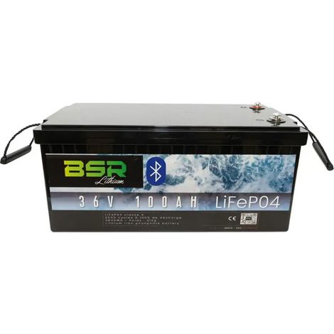 batería de litio bsr lifepo4 36v 100 ah cargador incluido control app