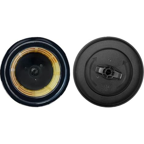 Lot de 2 Cartouche filtrante Karcher Special Revital WD 4290 / 5200 M / 5300 M / 5600 MP