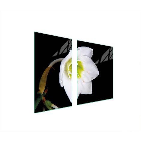 PLATO DE VIDRIO Y TABLA DE CORTAR 100x52 ORQUÍDEA (1/5)