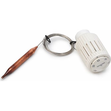 Thermostatkopf mit ferngesteuertem Flüssigkeitssensor Giacomini R462LX R462LX001