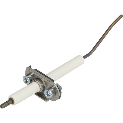 Électrode d’ionisation