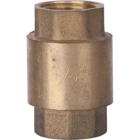 Clapet anti-retour vertical en laiton 1/2'' NPT à ressort pour vanne, outil de contrôle en cuivre 200 W (1/5)