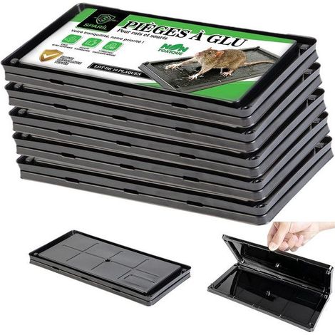 Piège à Souris et Rat Lot de 10 Plaques de Glue Colle Ultra Forte (1/5)