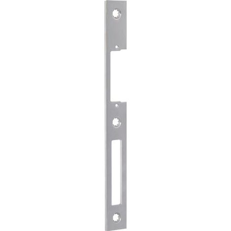 Schließbl.Secury VA B.24xL.216mm ktg.DIN R F-St. (1/3)