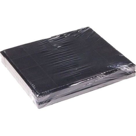 LOT DE 2 FILTRES A CHARBON POUR HOTTE F120 (1/3)
