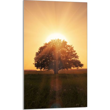TAGLIERE IN VETRO 30x52 Albero (1/5)