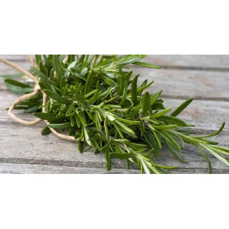 100Gram - Rosemary leaves (dried on order) Herb/Medicinal