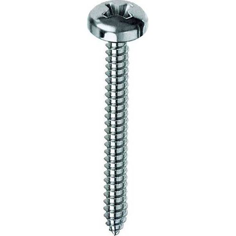 VITE P/FERRO AUTOFILETTANTE TC PH 3,9X 13MM ZN UNI6954 Q.TA 10