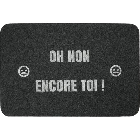 Paillasson d’entrée antidérapant 60×40 cm – Tapis intérieur/extérieur 6 mm – Message Humoristique brodé – Lavable, Compatible Robot (1/5)