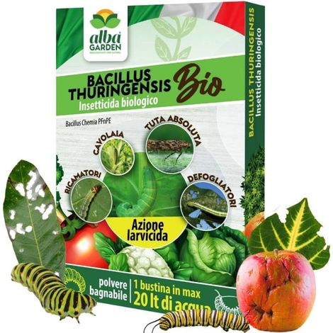 Bacillus Thuringensis Contro Insetti, Prodotto Naturale Biologico per Piante Contro Parassiti Insetti Larve di Orto e Giardino Polvere x 10 g (1/5)
