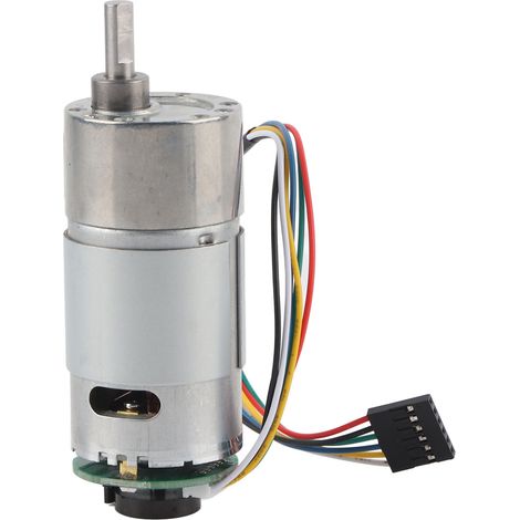 Drehmomentstarker Motor mit Encoder, 12/24 V, Drehzahlreduziermotor (12 V, 200 U/min) (1/5)
