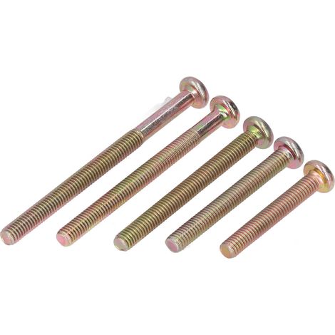 100-teiliges Set aus Edelstahl-Einschlagmuttern, hochfeste Möbelschrauben mit Schraubenschlüssel für Möbel (1/5)