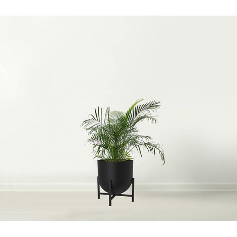 Plant Pot with Plant Stand - Metal Plant Pots Indoor Planter Large Flower Pot (Black, 22cm) (1/4)