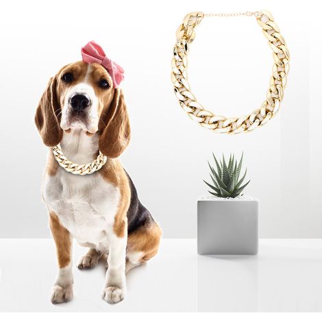 Collier étrangleur brillant et tendance en plastique pour bouledogue français (doré) (1/5)