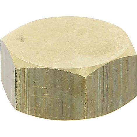 Watts – Bouchon laiton femelle 3/4 – Raccord à visser – Taraudage 3/4" (20x27) – Pour installations sanitaires