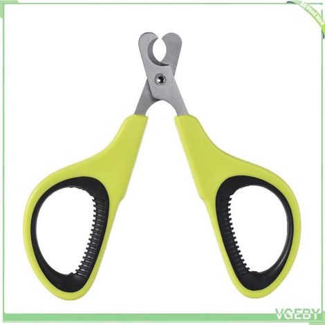 Coupe-ongles pour chat - FAFEICY - petit modèle - lame inclinée - acier inoxydable - manche ergonomique vert (1/5)