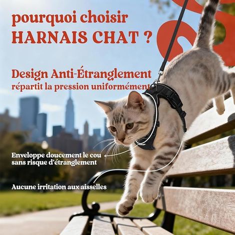 rabbitgoo Cat Harness Small Dog Leash Harness Kitten Adjustable Black XS Collar Harnai Cat Reflective Breathable Vest for Rabbit, European Cat, Maine Coon, Persian, Tie with Lead