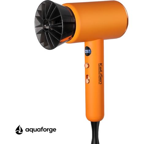 Sèche cheveux professionnel sans balais 2200 W 4 vitesses (1/5)